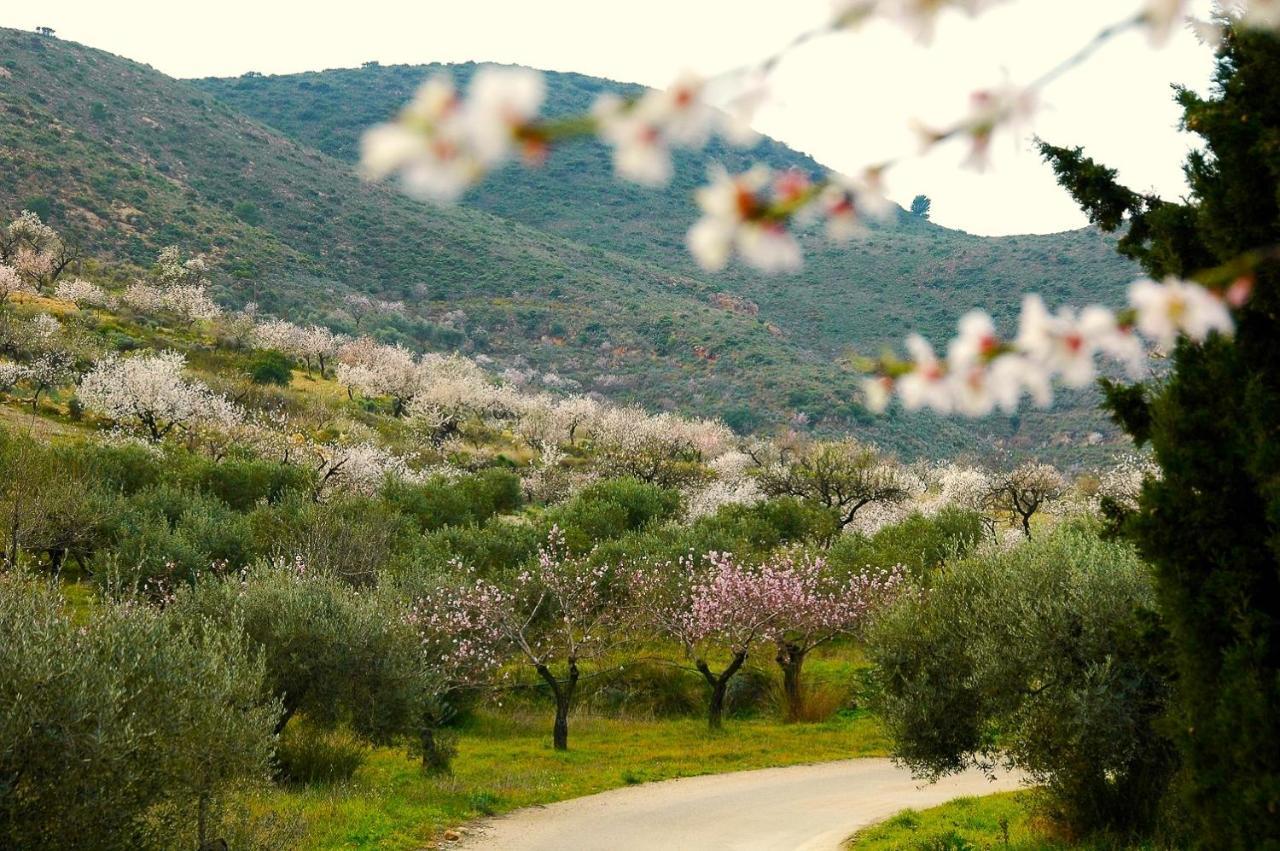 Casa Lago Bédar Dış mekan fotoğraf